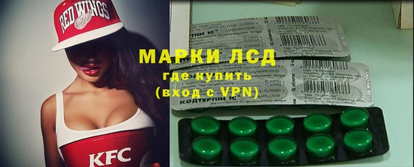 хмурый Алексин