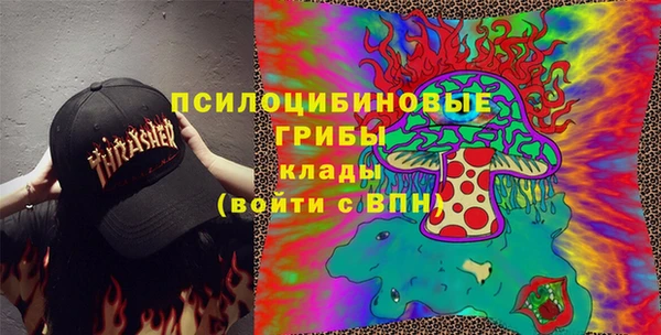 хмурый Алексин