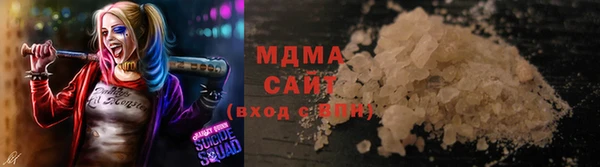 хмурый Алексин