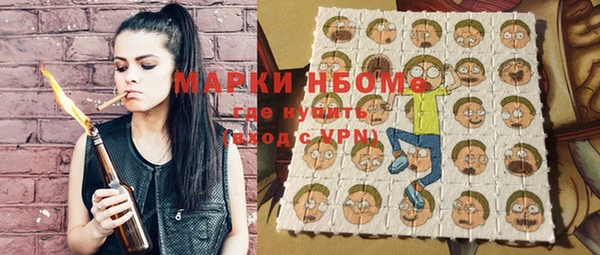 хмурый Алексин