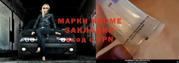 хмурый Алексин