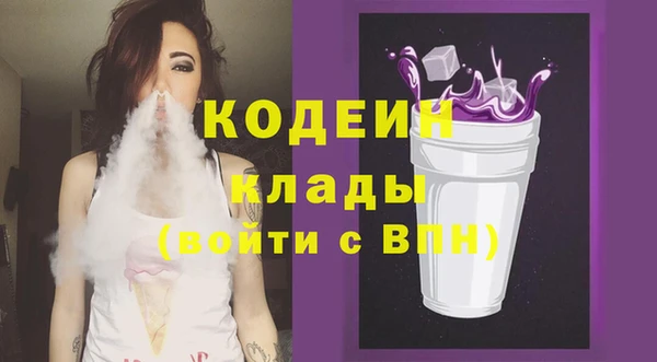 хмурый Алексин