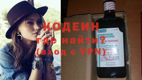 хмурый Алексин