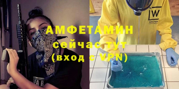 хмурый Алексин
