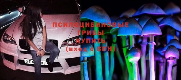 прущие крисы Алексеевка