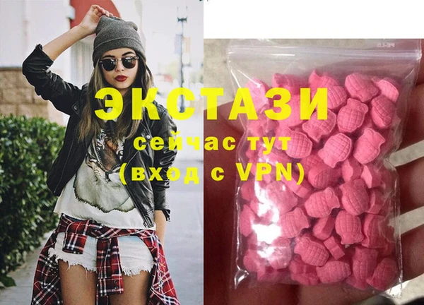 шишки Медвежьегорск