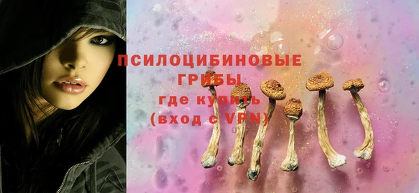 хмурый Алексин